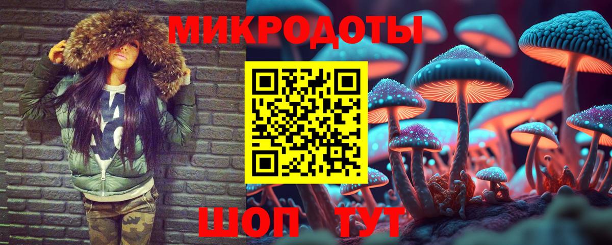 Галлюциногенные грибы мухоморы  Артёмовский  Псилоцибиновые грибы MAGIC MUSHROOMS 