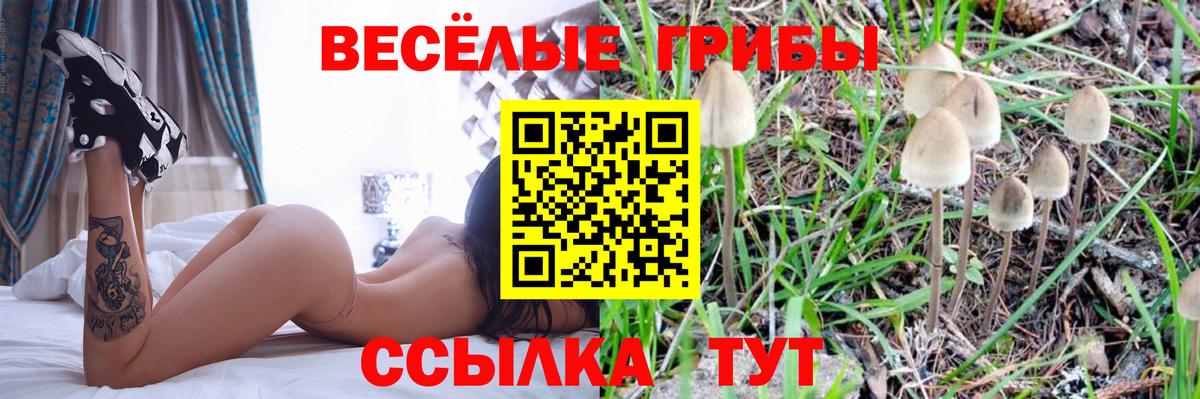 Псилоцибиновые грибы GOLDEN TEACHER Артёмовский